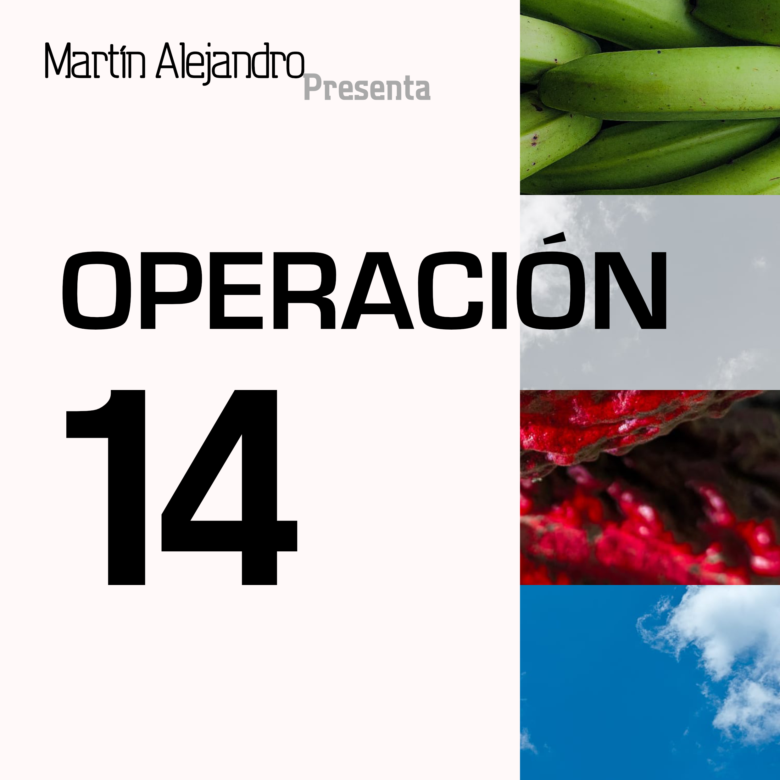 Operación 14